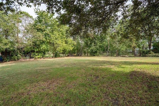 1816 Davis St, Taylor, TX 76574 - view of yard