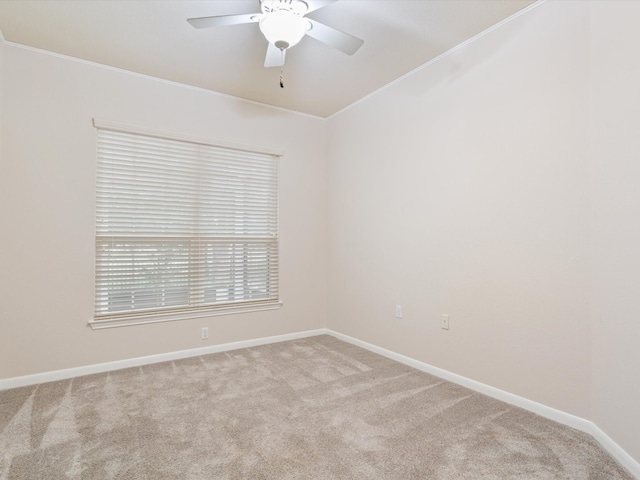 unfurnished room with carpet flooring, ceiling fan, and ornamental molding