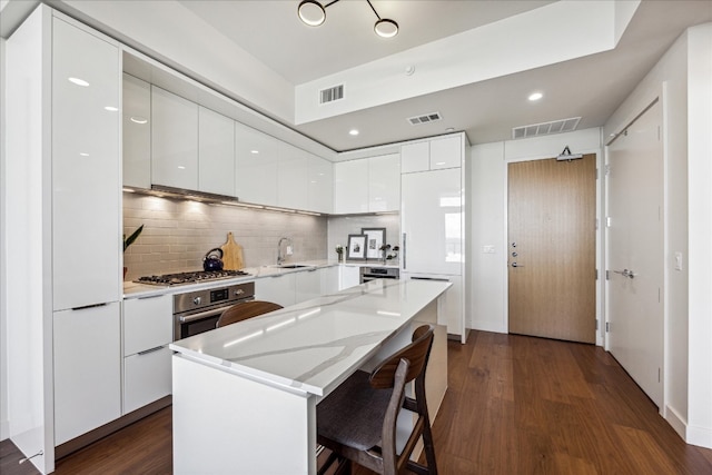 kitchen with white cabinetry, sink, light stone countertops, dark wood-type flooring, and appliances with stainless steel finishes