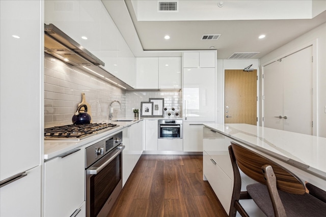 kitchen with appliances with stainless steel finishes, light stone countertops, white cabinets, and dark hardwood / wood-style floors