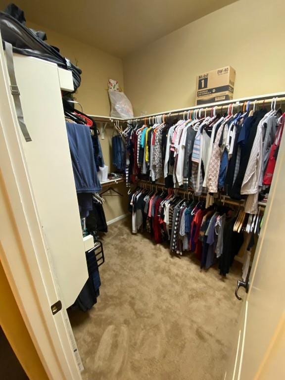 walk in closet with carpet flooring