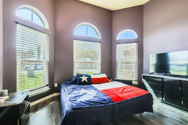 206 Swenson Dr, Hutto, TX 78634 - bedroom featuring wood finished floors and a towering ceiling