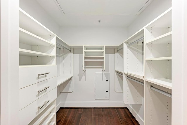 spacious closet featuring dark wood-style flooring