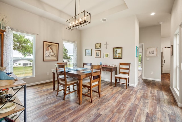 103 Hans Bell Dr, Blanco, TX 78606 - dining room featuring plenty of natural light, wood finished floors, recessed lighting, a towering ceiling, and a tray ceiling