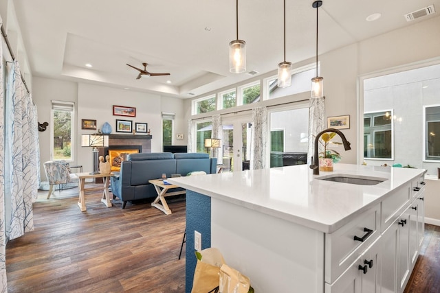 103 Hans Bell Dr, Blanco, TX 78606 - kitchen with dark wood-style floors, french doors, a raised ceiling, white cabinets, and light countertops