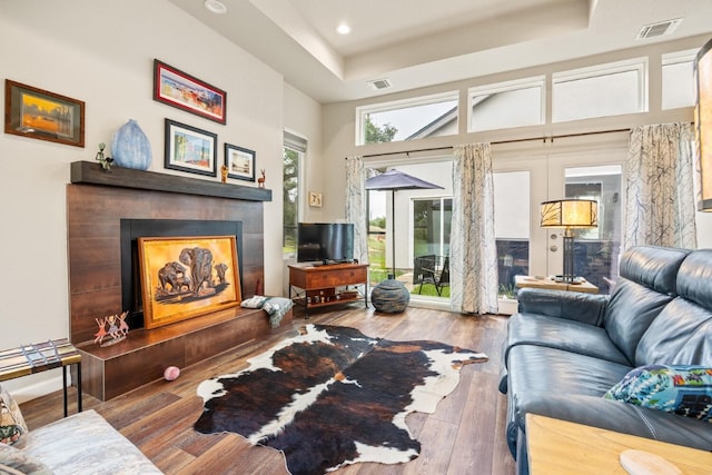 103 Hans Bell Dr, Blanco, TX 78606 - living area featuring a tray ceiling, wood-type flooring, recessed lighting, and a fireplace