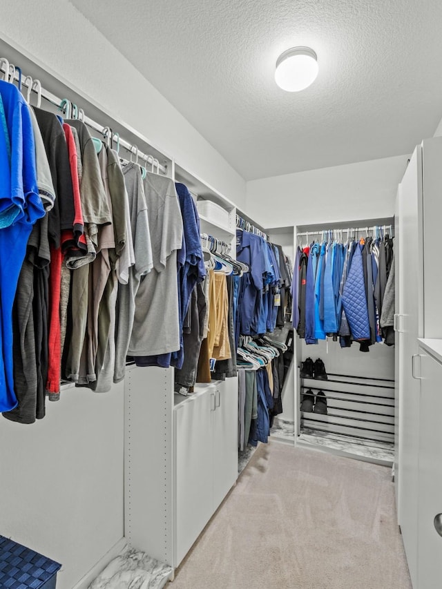 spacious closet featuring light colored carpet