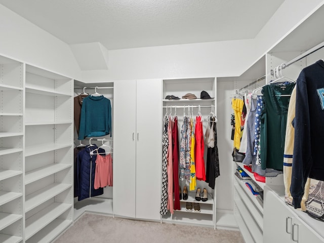 spacious closet with light carpet