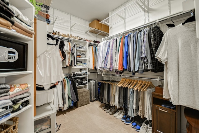 spacious closet featuring carpet flooring