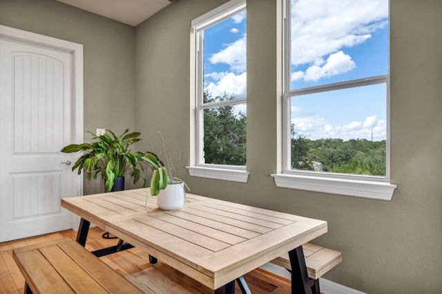 dining room with light hardwood / wood-style flooring