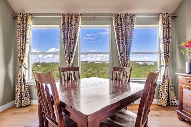 dining room featuring light wood-type flooring and a healthy amount of sunlight