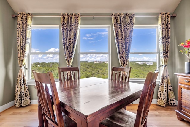 4309 Vista Verde Dr, Austin, TX 78732 - dining room with baseboards and light wood-type flooring