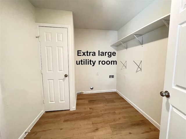 laundry area featuring hardwood / wood-style flooring