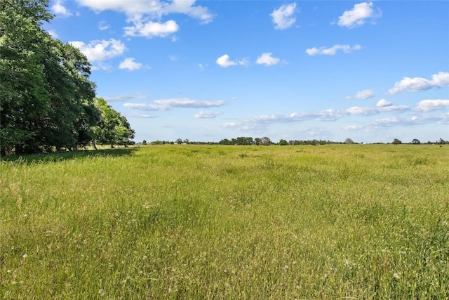 TBD(Tract1) Fm 2239, Giddings, TX 78942 - photo 2