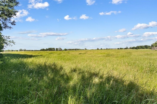 TBD(Tract1) Fm 2239, Giddings, TX 78942 - photo 3