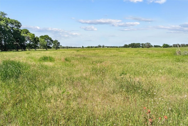TBD(Tract1) Fm 2239, Giddings, TX 78942 - photo 4
