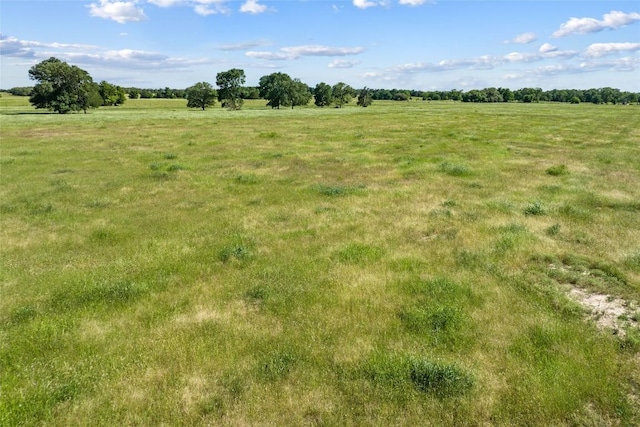 TBD(Tract1) Fm 2239, Giddings, TX 78942 - photo 8