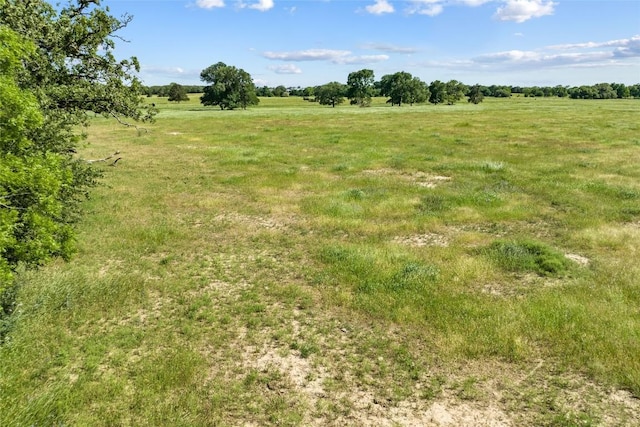 TBD(Tract1) Fm 2239, Giddings, TX 78942 - photo 7