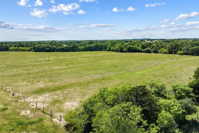 TBD(Tract1) Fm 2239, Giddings, TX 78942 - photo 16