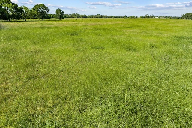 TBD(Tract1) Fm 2239, Giddings, TX 78942 - photo 6