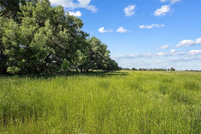 TBD(Tract3) Fm 2239, Giddings TX, 78942 land for sale