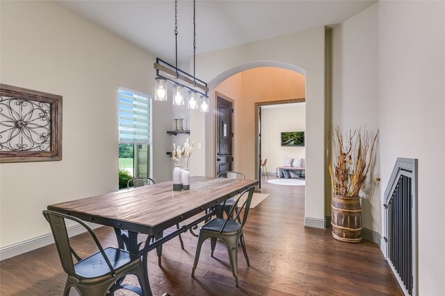 dining room featuring dark wood-type flooring