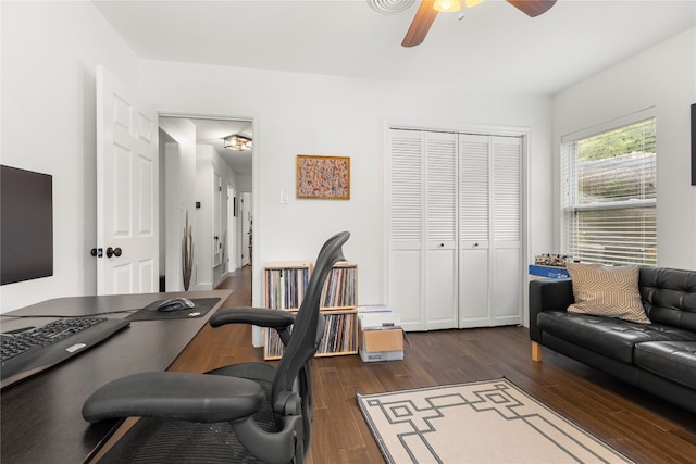 office space with ceiling fan and dark hardwood / wood-style floors