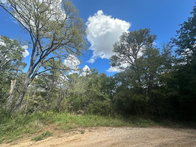 LOT625 Hilea Ct, Bastrop TX, 78602 land for sale