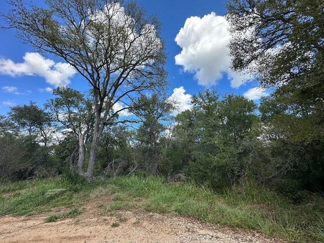 Listing photo 2 for LOT625 Hilea Ct, Bastrop TX 78602