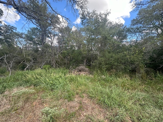 Listing photo 3 for LOT625 Hilea Ct, Bastrop TX 78602