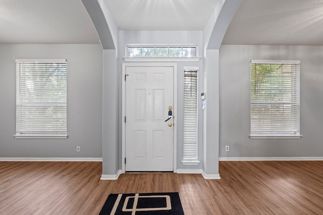 foyer with wood-type flooring