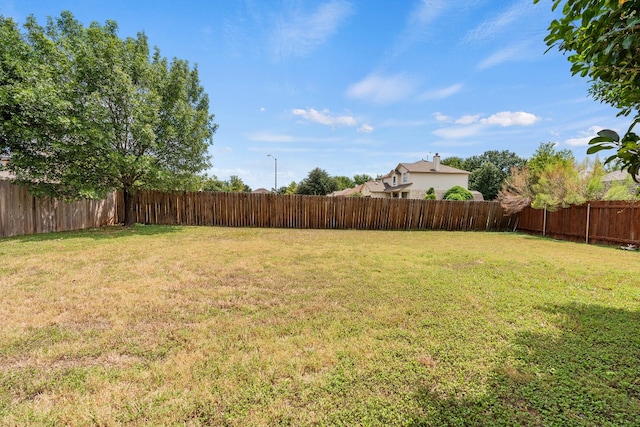 view of yard