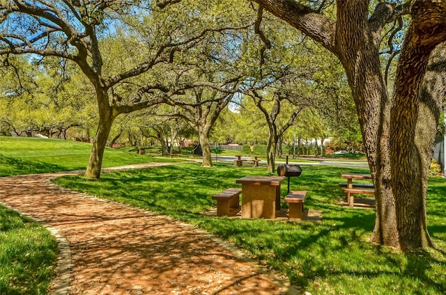 view of community featuring a yard