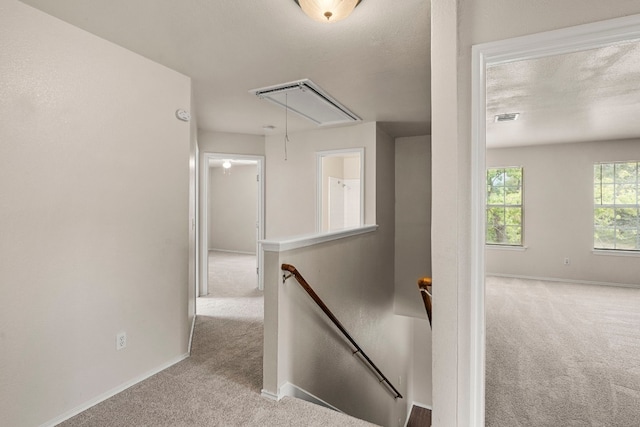 hall featuring light carpet and a textured ceiling