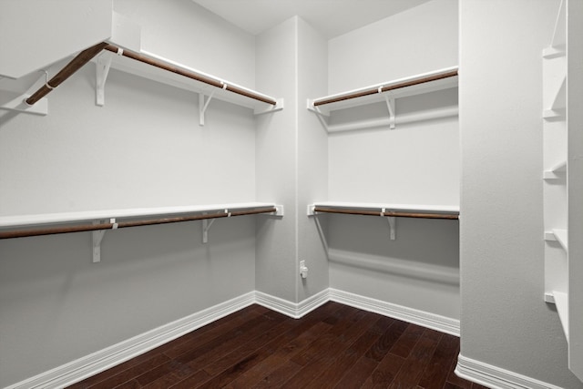 spacious closet with dark hardwood / wood-style floors