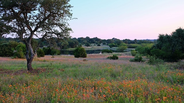 nature at dusk with a water view