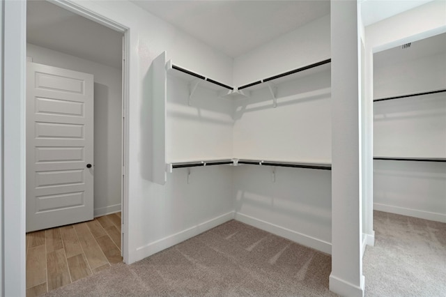 spacious closet with light carpet