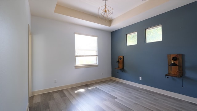 empty room with wood-type flooring and a tray ceiling