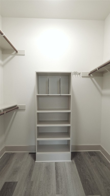 spacious closet with dark wood-type flooring