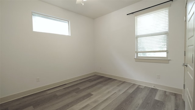 empty room with a wealth of natural light and wood-type flooring