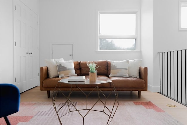 sitting room featuring light hardwood / wood-style floors and a healthy amount of sunlight