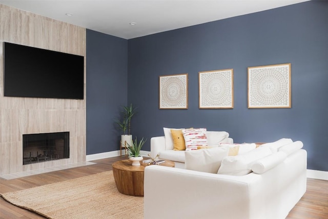 living room featuring a fireplace and light wood-type flooring