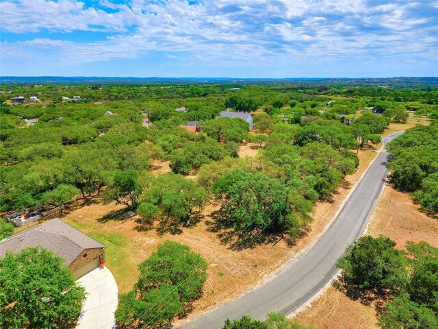 119 Bedford Dr, Spicewood, TX 78669 - photo 14