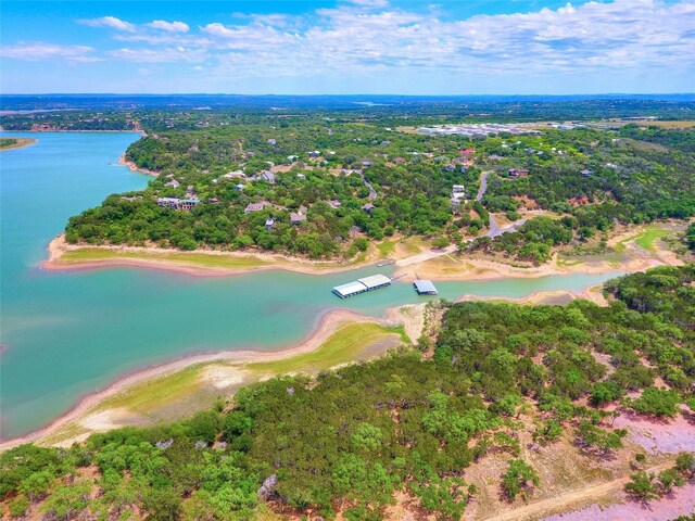 119 Bedford Dr, Spicewood, TX 78669 - photo 20