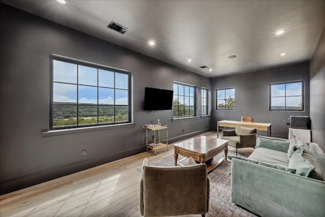 living room featuring light hardwood / wood-style flooring