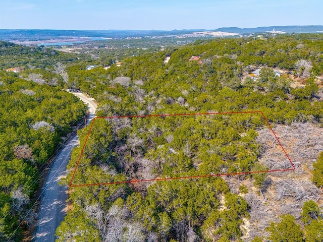 20606 Park Dr, Lago Vista TX, 78645 land for sale