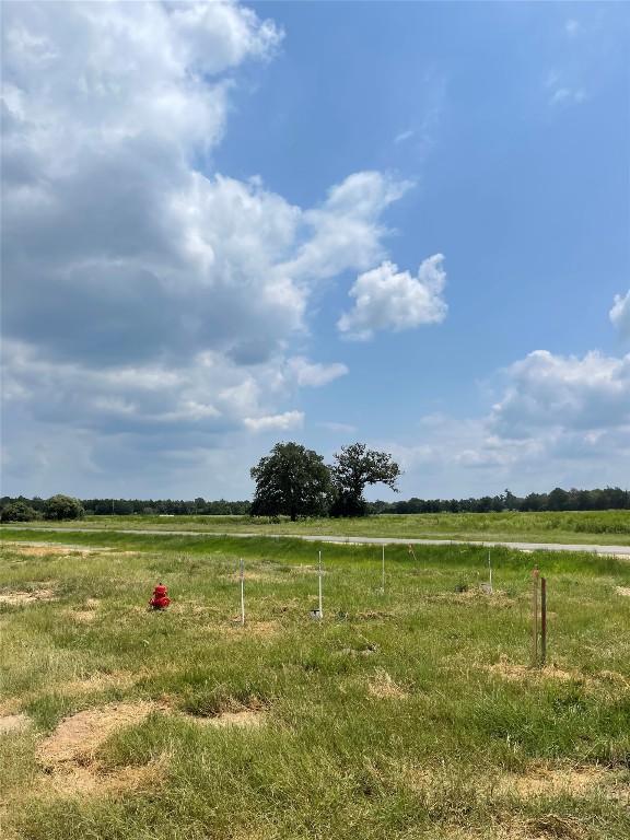 000 Fm 535th Rd, Rosanky, TX 78953