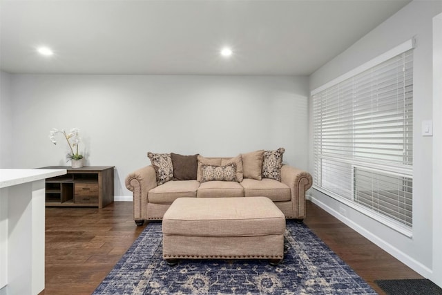 living room with dark wood-type flooring