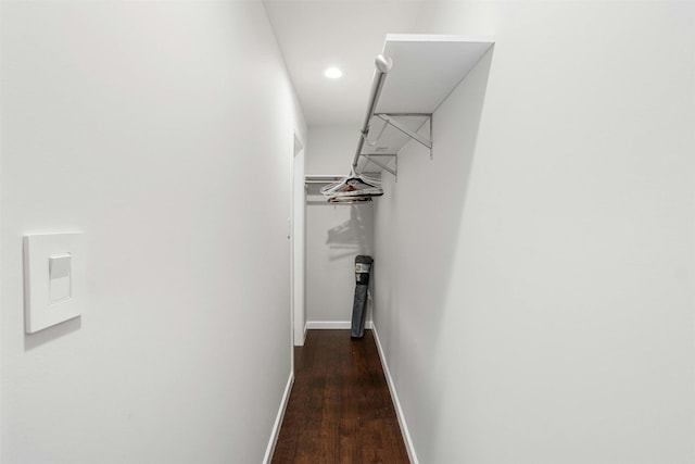 walk in closet with dark hardwood / wood-style floors