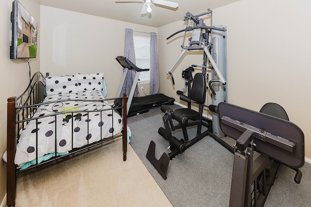 exercise room featuring carpet flooring and ceiling fan